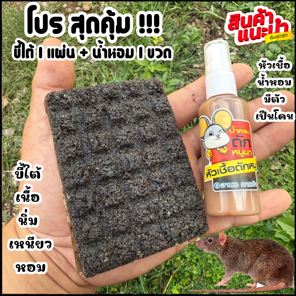 ชุดเหยื่อ หัวเชื้อ ดักหนูนา (รุ่นพิเศษ นิ่ม เหนียว หอม) ใช้เป็นเหยื่อล่อ ดักหนู หรือก่อไฟ