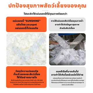 yoyopet : แผ่นรองฉี่ <ไม่มีแผ่นกาว> Pet Pad แผ่นรองฉี่สัตว์เลี้ยง ซึมซับดี ช่วยฝึกการขับถ่าย
