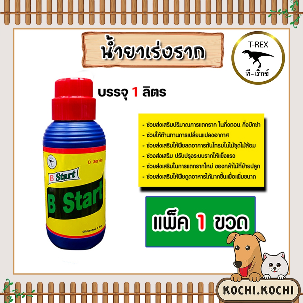 น้ำยาเร่งราก ทีเร็กซ์ B Start วิตามินบี-1 B1 ขนาด 1ลิตร 1 ขวด  เร่งการแตกราก รากแข็งแรง