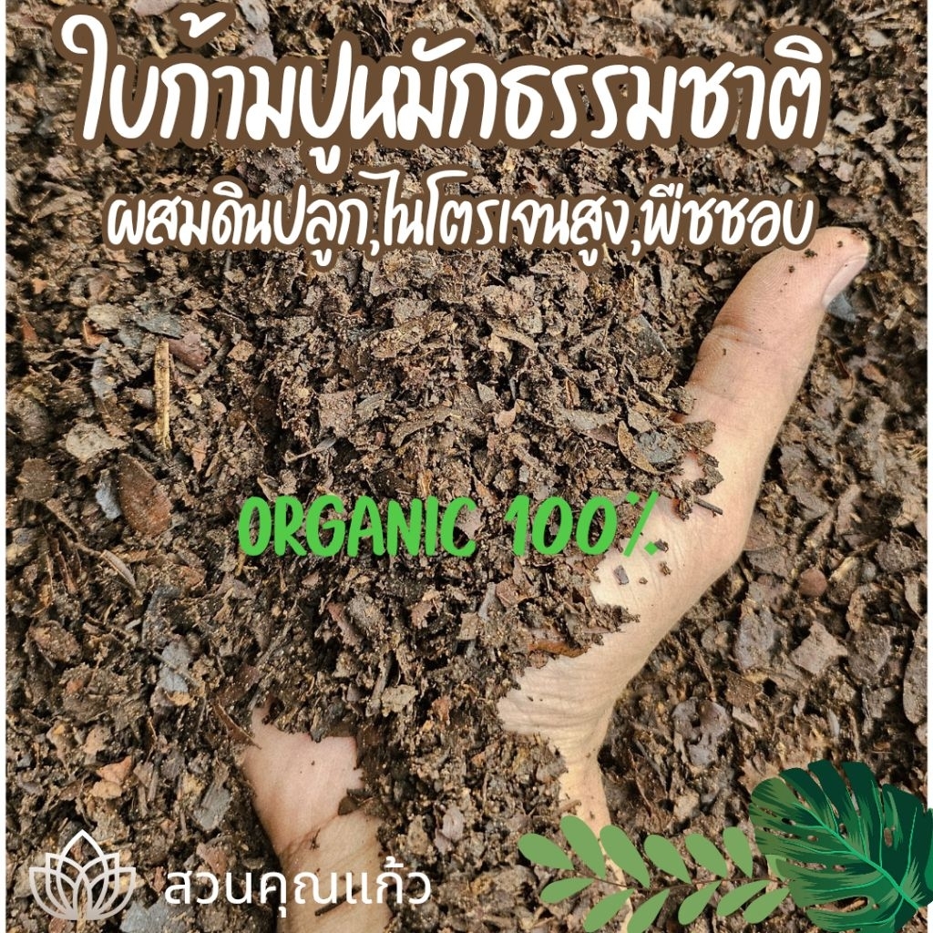 ใบก้ามปูหมัก#ใบก้ามปู 100% หมักธรรมชาติ ไม่ผสมดิน#ปุ๋ยหมักใบก้ามปู