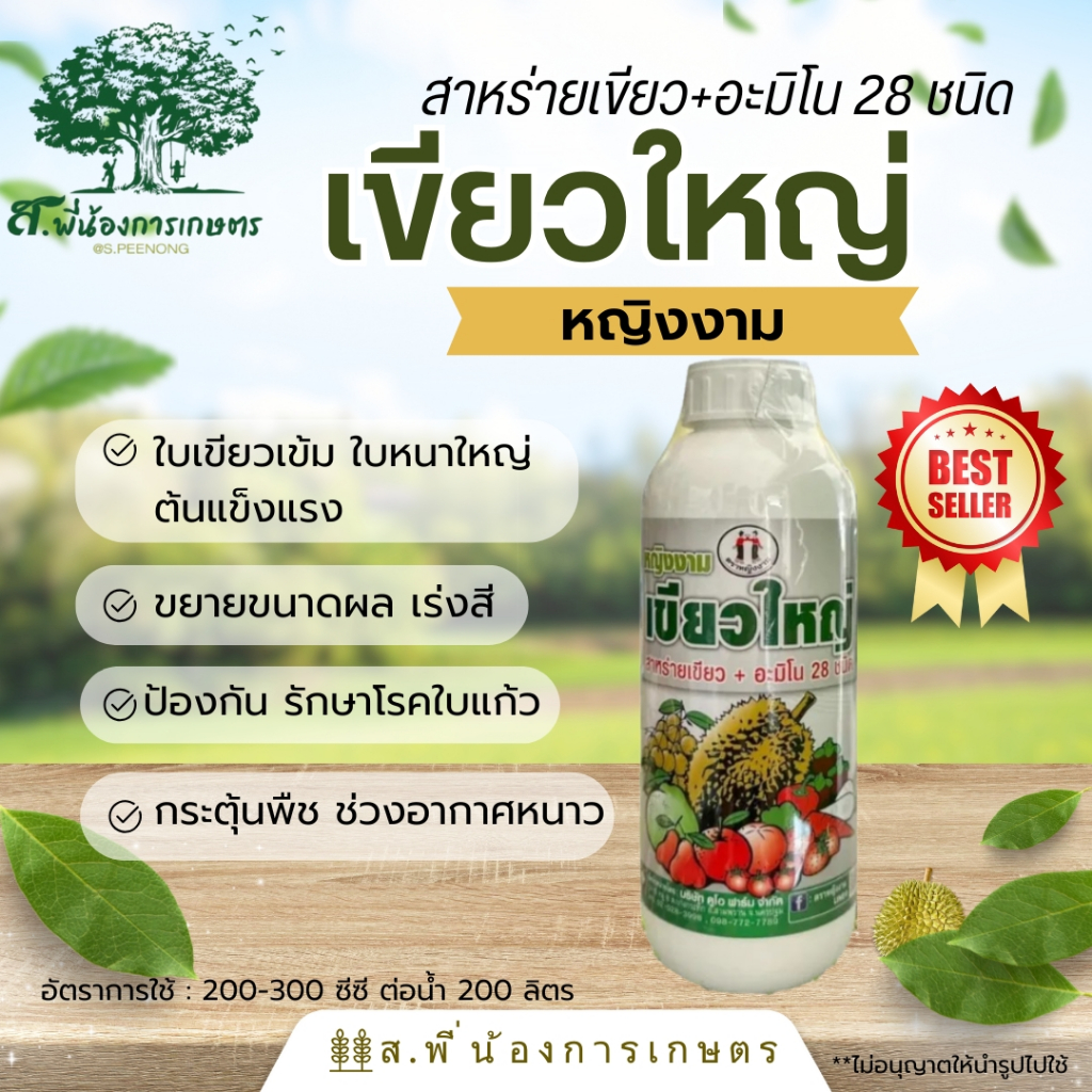 หญิงงาม เขียวใหญ่ สาหร่ายเขียว+อะมิโน 28 ชนิด ขนาด 1 ลิตร ใบเขียวเข้ม ใบหนาใหญ่ รักษาโรคใบแก้ว