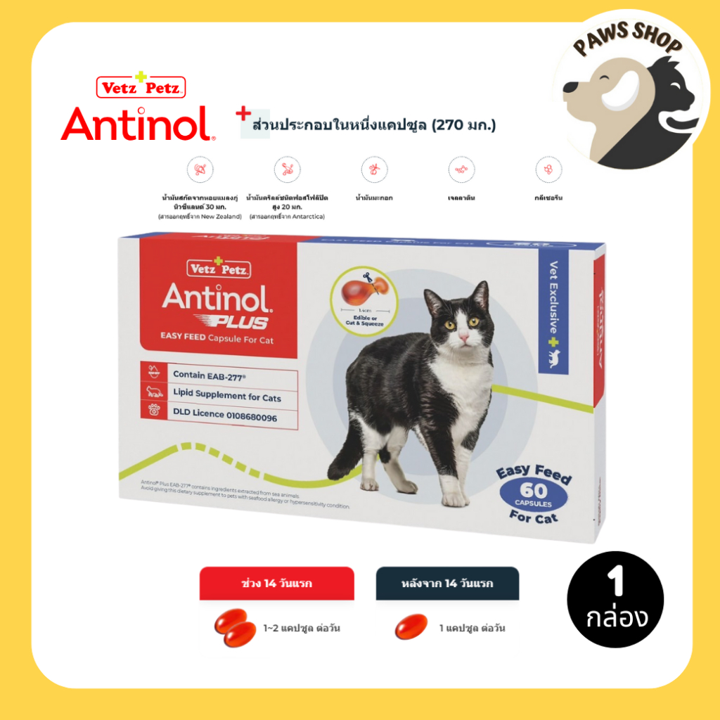 [ถูกสุดของแท้] Antinol Cat แมว ช่วยบำรุงข้อ กระดูก ขน ผิวหนัง และไต (1 กล่อง 60 caps) สำหรับแมว
