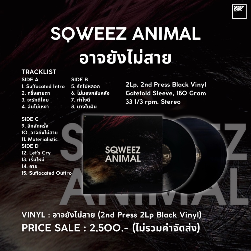 VINYL : SQWEEZ ANIMAL - อาจยังไม่สาย (2nd Press 2Lp Black Vinyl)