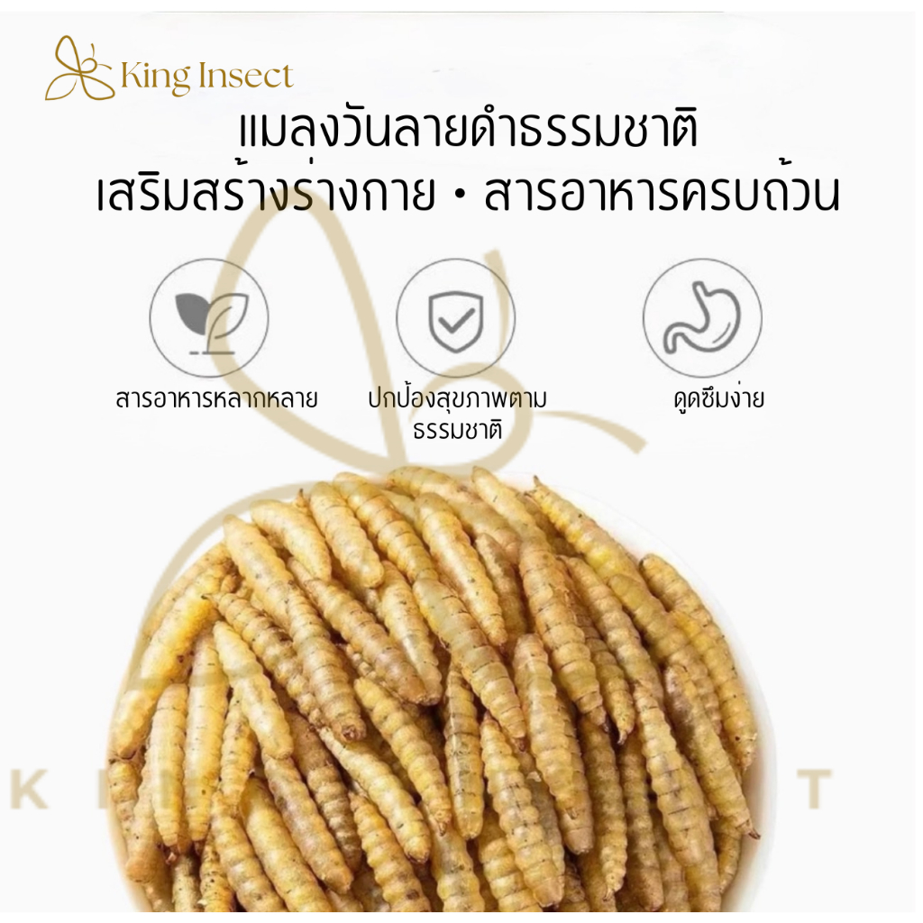 BSF หนอนแมลงวันลายอบแห้ง 500g โปรตีนสูง สำหรับสัตว์เลี้ยง ฟาร์มไก่ ปลา กบ โรงงานส่งตรง ราคาถูกสุด