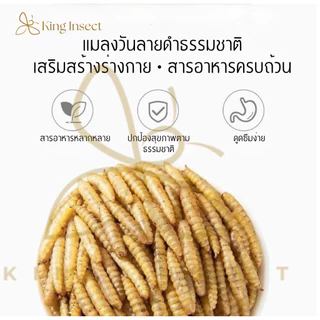 BSF หนอนแมลงวันลายอบแห้ง 500g โปรตีนสูง สำหรับสัตว์เลี้ยง ฟาร์มไก่ ปลา กบ โรงงานส่งตรง ราคาถูกสุด