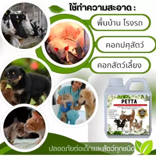 หัวเชื้อสมุนไพรล้างคอก กลิ่นหอมมาก ปกป้องสัตว์จากแบคทีเรียในคอก ฉีดพ่นตัวสัตว์ได้ ห่างไกลแมลงทุกชนิด ปลอดภัย