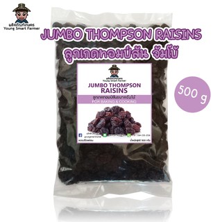ลูกเกดดำ เม็ดใหญ่ จัมโบ้ 500 กรัม(Jumbo Black Raisins)