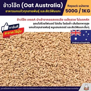 ข้าวโอ๊ต Oat Australia เกรดA ข้าวโอ็ตอาหารนกแก้ว และสัตว์ฟันแทะ สะอาด ร่อนฝุ่น  (แบ่งขาย 500G / 1KG)