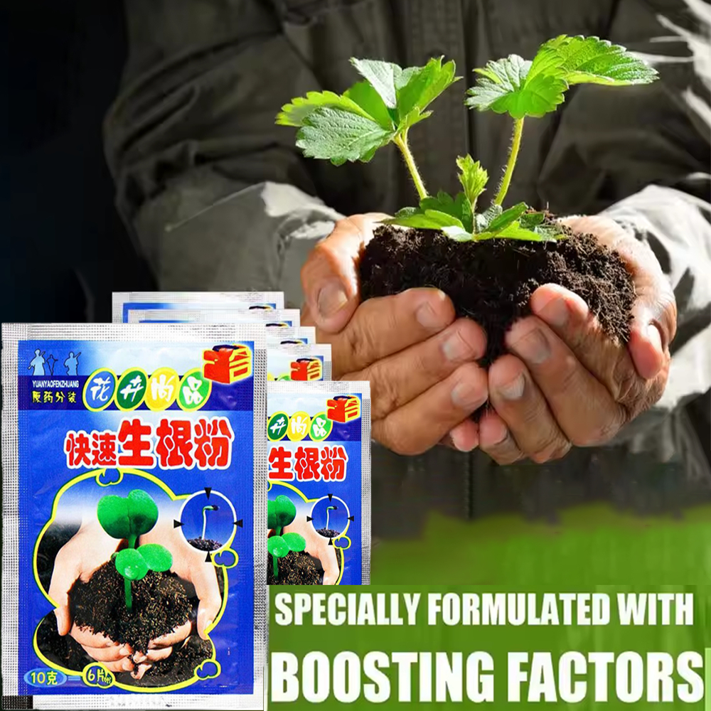 ผงเร่งรากพืช Fast Rooting Powder ผงบำรุงรากพืช Hormone Growing Root Seedling Clone รากพืช Plant Root Growth Rapid