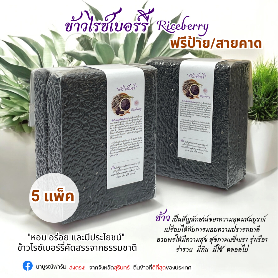 ข้าวไรซ์เบอร์รี่ แพ็ค 1 กก.(5 กก.) ข้าวหอม นุ่ม ฟรีป้าย ราคาส่ง