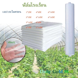 Daily Gold พลาสติกคลุมโรงเรือน พลาสติกใส คลุมหลังคากันสาด ฟิล์มPE ปูบ่อ กันฝน ผลิตจากวัตถุดิบเกรด AUV7% หนา120/150