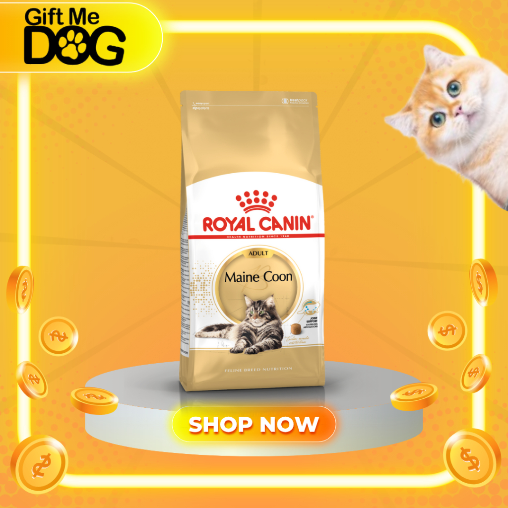 Royal Canin Mainecoon Adult โรยัลคานิน อาหารเม็ดแมวโต พันธุ์เมนคูน ขนาด2kg,10kg