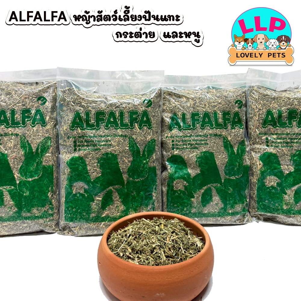 หญ้าอัลฟาฟ่าสับ Alfalfa All Natural ร่อนฝุ่นละเอียด เขียว ใบเยอะ ( 500G.-1KG )