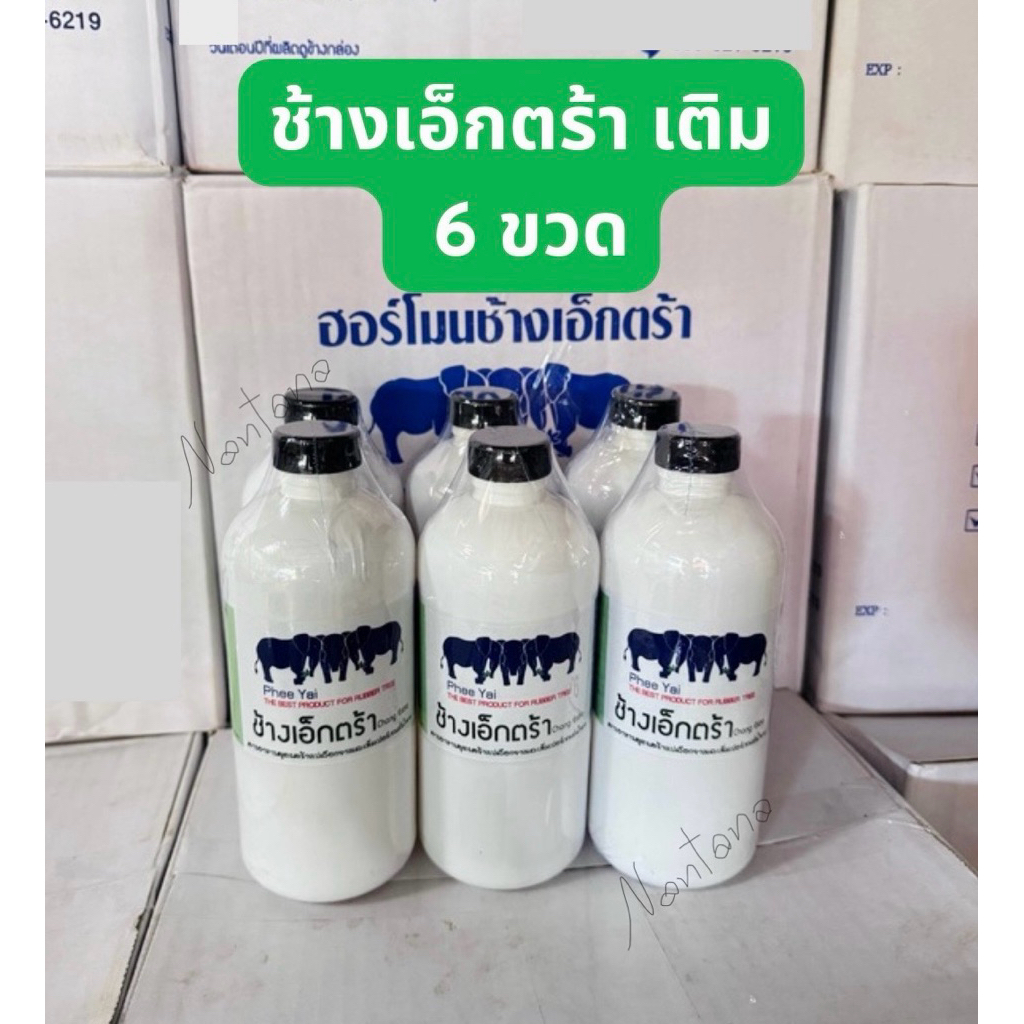 ช้างเอ็กซ์ตร้า 6ขวด ของแท้1000%ฮอร์โมนฉีดหน้ายาง