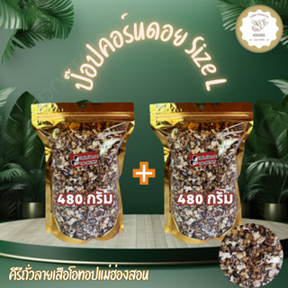 แพคคู่ !! ป๊อปคอร์นดอยข้าวโพดม่วงคั่ว size L ขนาด 480 กรัม (…