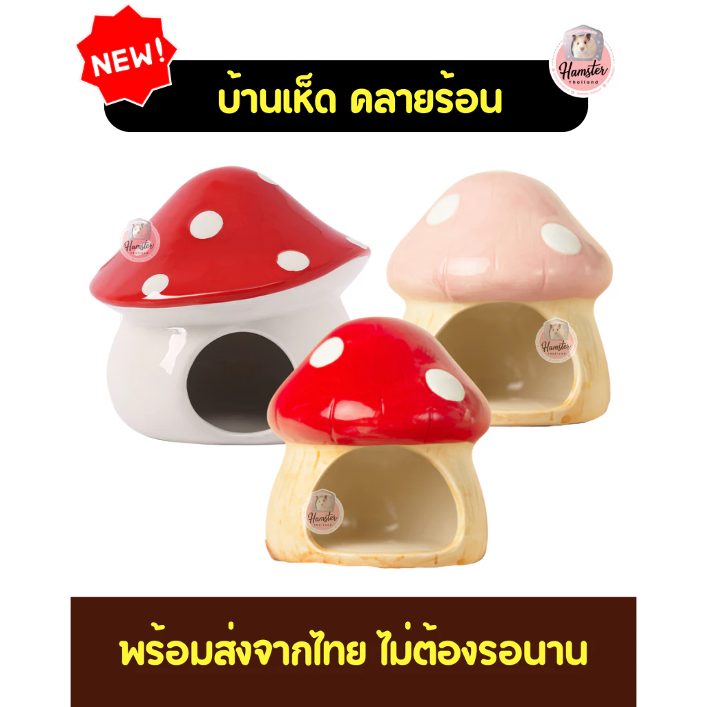 [Hamsterthailand] บ้าน เซรามิค คลายร้อน บ้านเซรามิค บ้านแครอท บ้านเห็ด บ้านสตอเบอรี่ จัมโบ้!! บ้านแฮมเตอร์