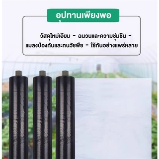 พลาสติกคลุมดินสีดำเงิน กว้าง 80CMยาว 360 เมตร เจาะรู 30 40 50 cm 400 หลา