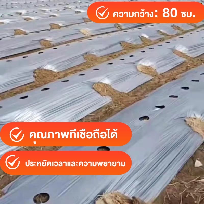 พลาสติกคลุมดินสีดำเงิน กว้าง 80CMยาว 360 เมตร เจาะรู 30 40 50 cm  400 หลา
