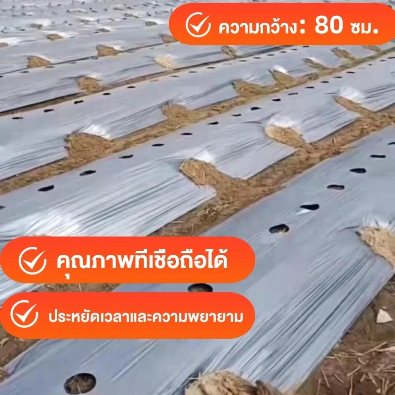 พลาสติกคลุมดินสีดำเงิน กว้าง 80CMยาว 360 เมตร เจาะรู 30 40 50 cm 400 หลา