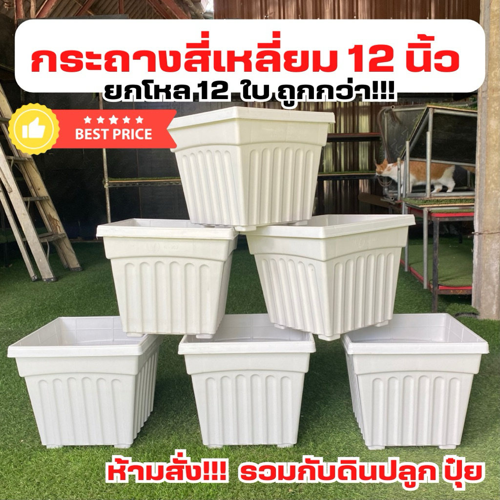 กระถางต้นไม้ กระถางสี่เหลี่ยม กระถางกุหลาบ 12 นิ้ว ยกโหล 12 ใบ สีขาว