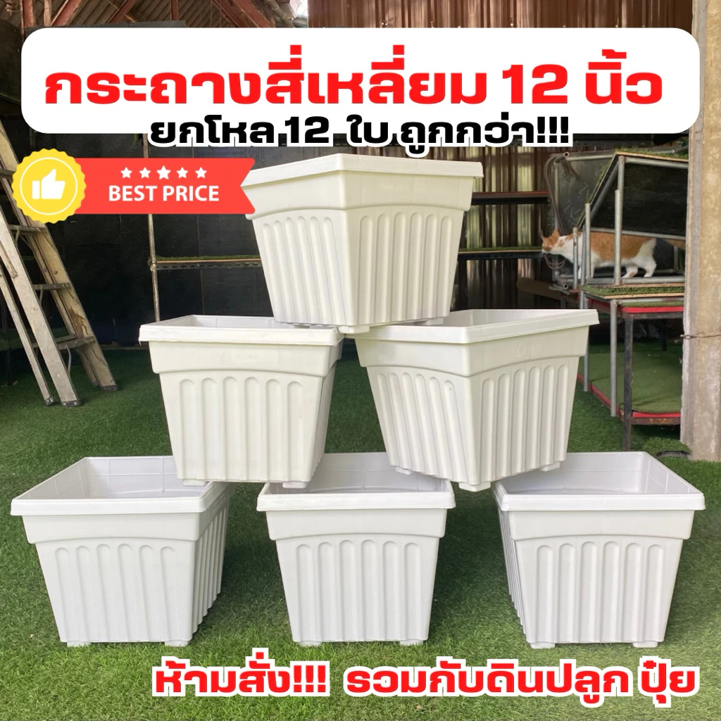 กระถางต้นไม้ กระถางสี่เหลี่ยม กระถางกุหลาบ 12 นิ้ว ยกโหล 12 ใบ สีขาว