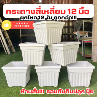 กระถางต้นไม้ กระถางสี่เหลี่ยม กระถางกุหลาบ 12 นิ้ว ยกโหล 12 ใบ สีขาว