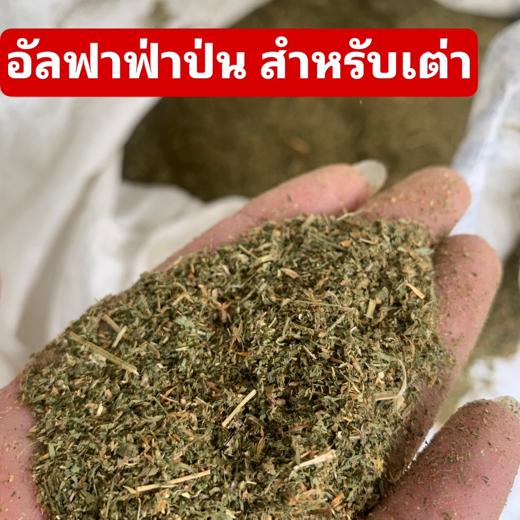 🎉20KG🎉  หญ้าทิมโมธี สับละเอียดพิเศษ และอัลฟาฟ่าป่น สำหรับเต่าบก20กก 🐢 รูปที่ 5