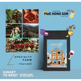 Coffee Bean Thailand￼ (Light Roast) เมล็ดกาแฟไทย คั่วอ่อน Sunset Coffee Roasters