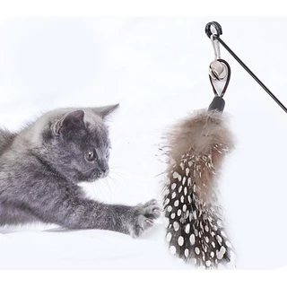 PP-590 ไม้ตกแมวขนนก ของเล่นแมว ยาว 50 ซม. ราคาถูก พร้อมส่ง 🐶🐈