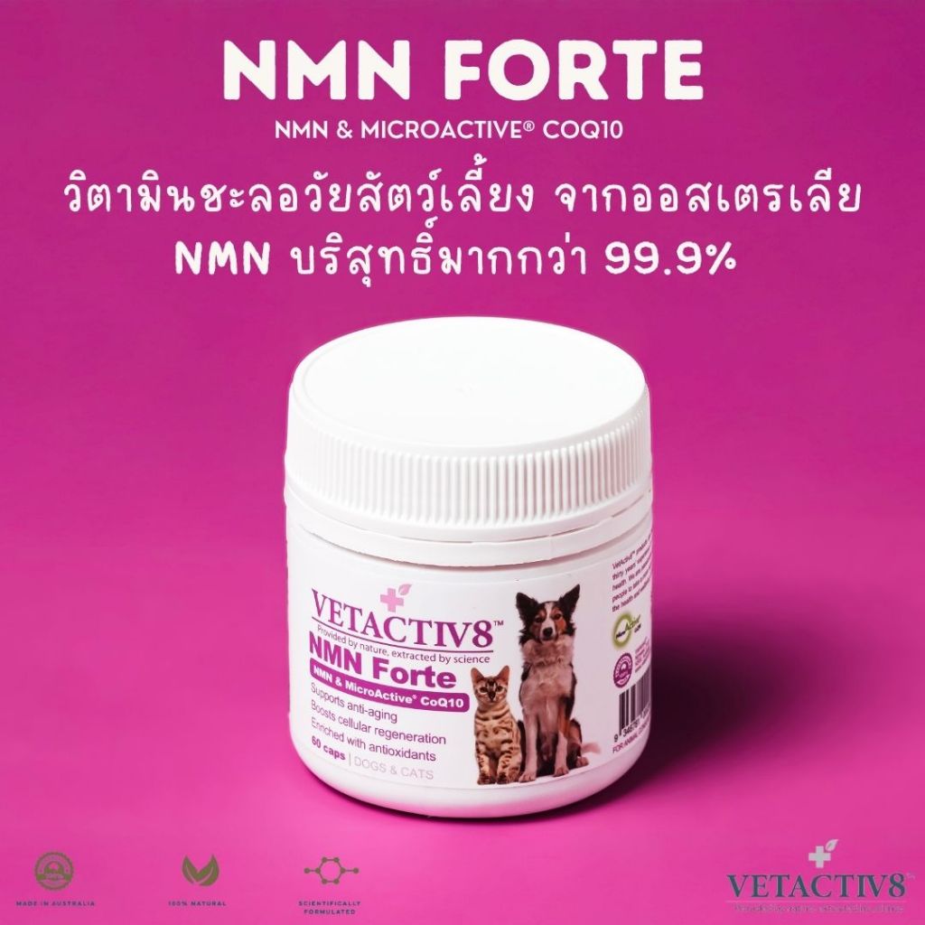 Vetactiv8 NMN Forte วิตามินชะลอวัยสัตว์สุนัขและแมว จากออสเตรเลีย