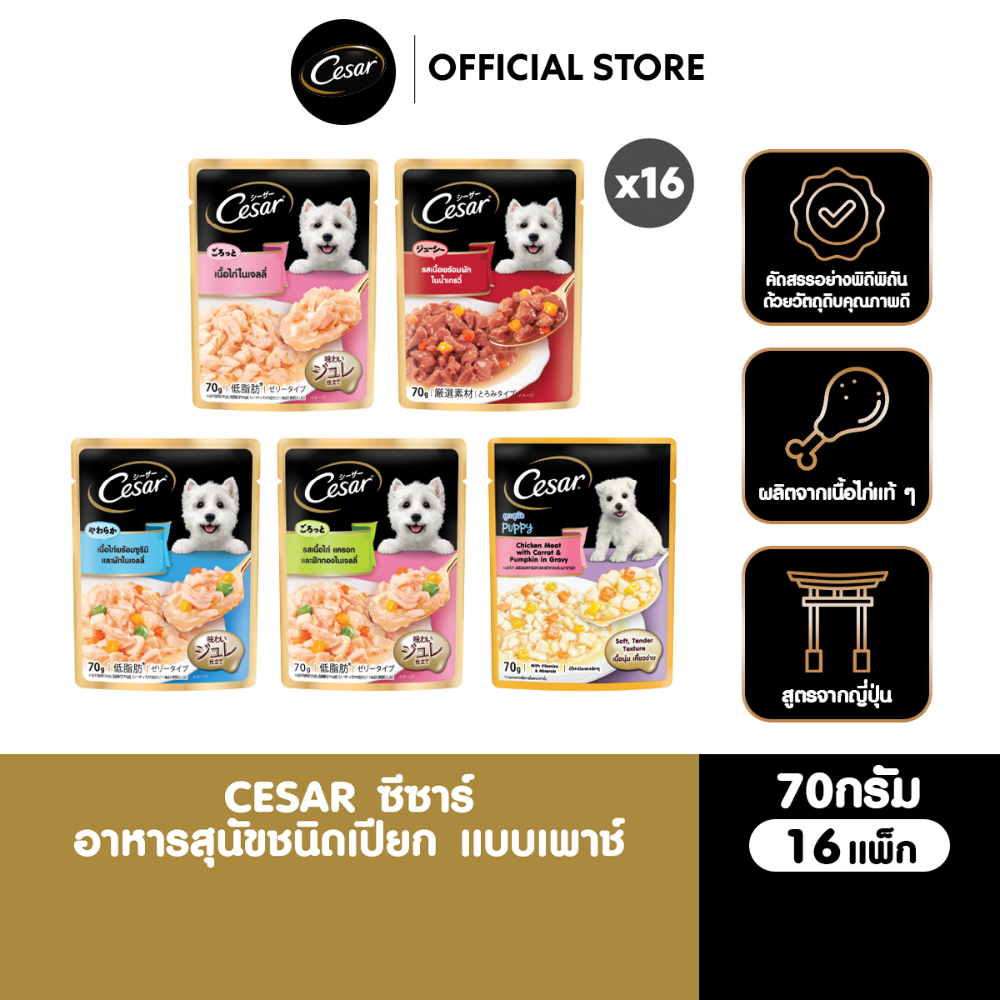 CESAR อาหารเปียกสุนัข แบบซอง 70 ก. (16 แพ็ก )