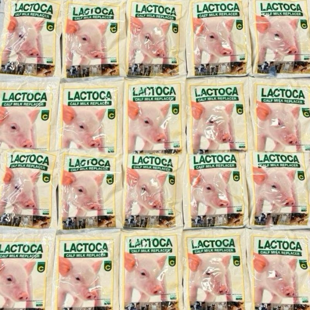 แลคโตคา อาหารแทนนมสำหรับวัว ควาย หมู แพะ