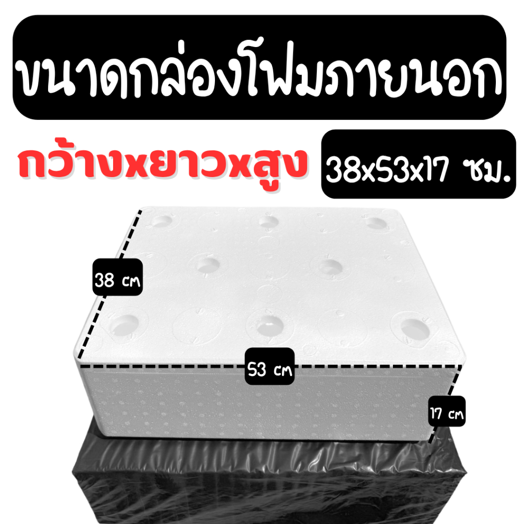 กล่องโฟมรุ่นหนาพิเศษ กล่องโฟมปลูกผัก (*ชุด 4 ใบ*) พร้อมถ้วยปลูก (*ครบช่อง*) และ ถุงรองกล่องโฟม รูปที่ 8