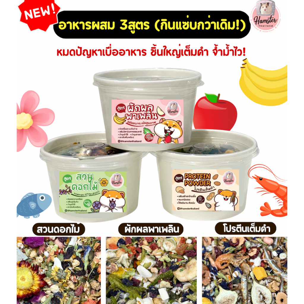 Hamsterthailand อาหารผสม อาหารแฮมสเตอร์ โปรตีน ดอกไม้ ผัก ผลไม้ ขนมแฮมสเตอร์ อาหารแฮมสเตอร์
