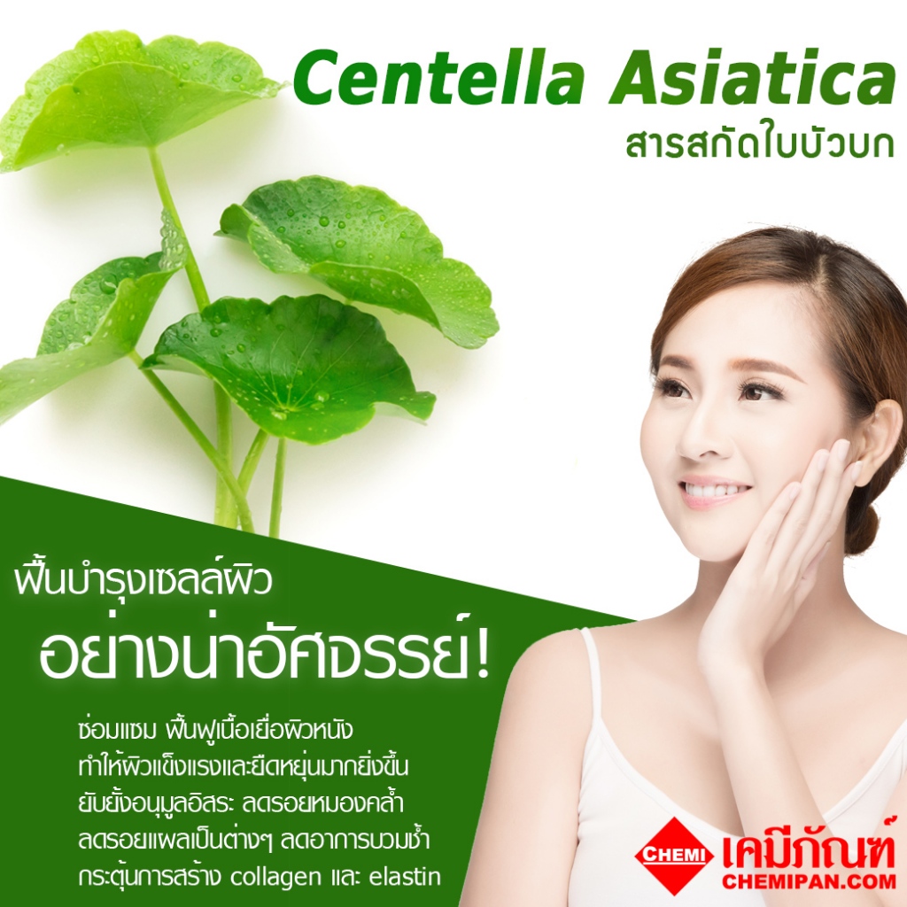 SWS-AK1603-A ไซวิส เซนเทีย แอลเอ (สารสกัด ใบบัวบก (เหลว)