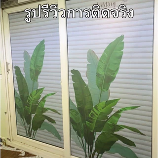 ฟิล์มติดกระจกบ้าน อัลบั้มลายมีสี สุญญากาศ กันคนมองเห็น ติดตั้งง่าย กันแสงแดด ฟิล์มฝ้าติดกระจก สติกเกอร์ติดกระจก