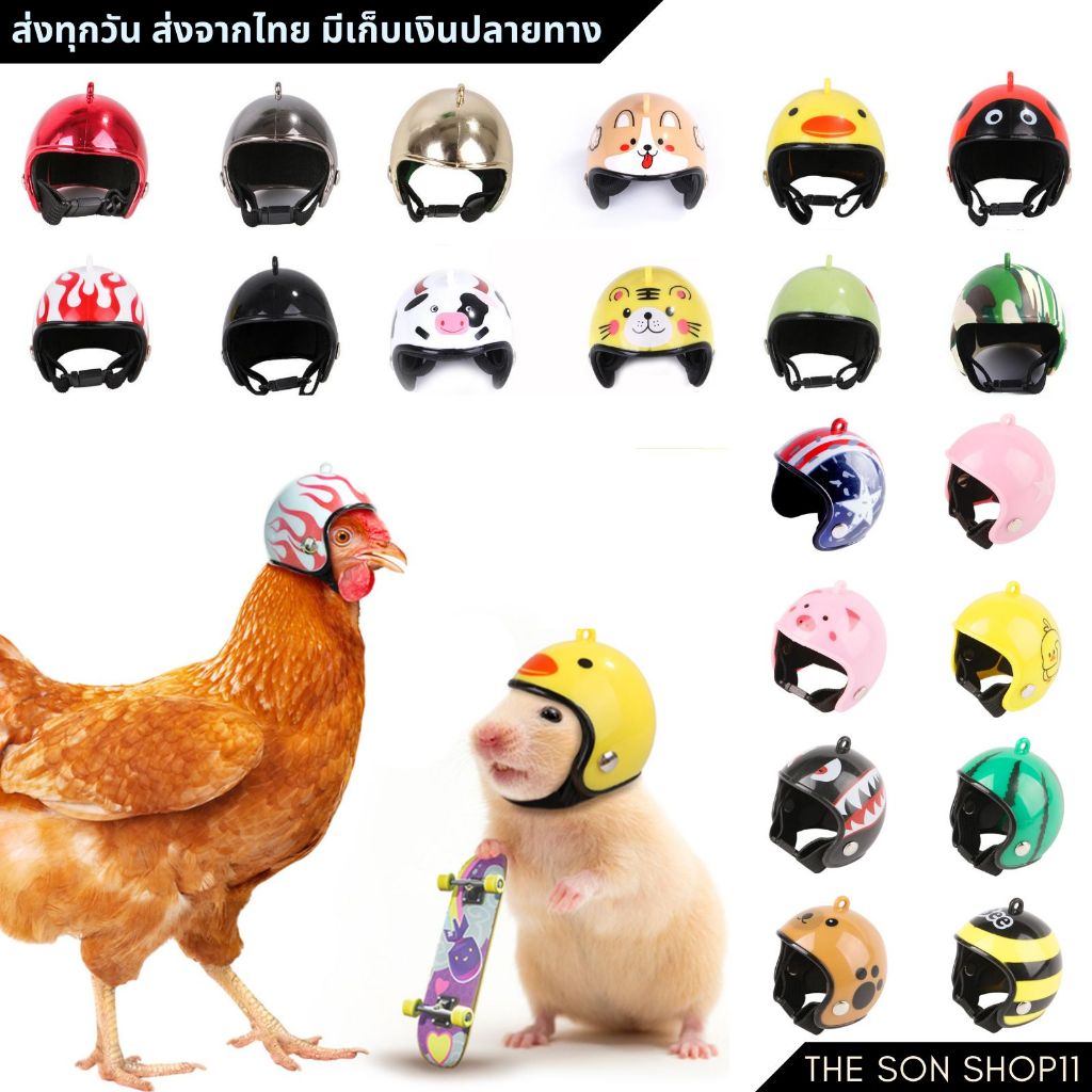 หมวกกันน็อคจิ๋ว สำหรับ นกแก้ว ไก่ ชูก้า หนู สัตว์เลี้ยงขนาดเล็ก พร้อมส่งจากไทย เก็บเงินปลายทางได้
