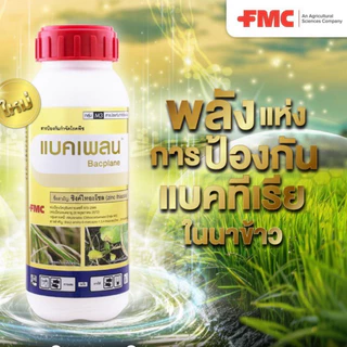 แบคเพลน FMC ซิงค์ไทอะโซล ป้องกัน กำจัด แบคทีเรีย ขอบใบแห้ง 500ซีซี