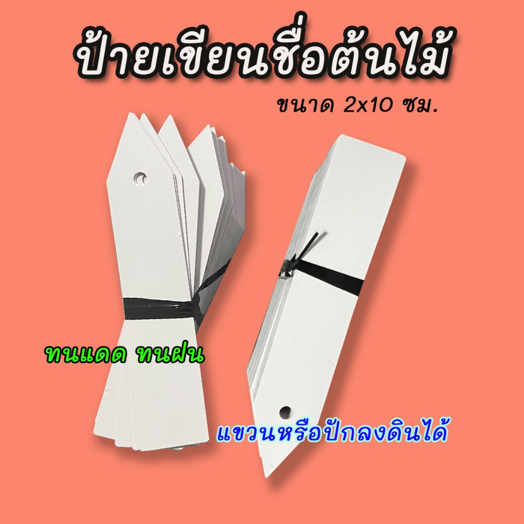 ป้ายพีวีซีเขียนชื่อต้นไม้สีขาว ทนแดดทนฝน ขนาด 2x10 ซม.