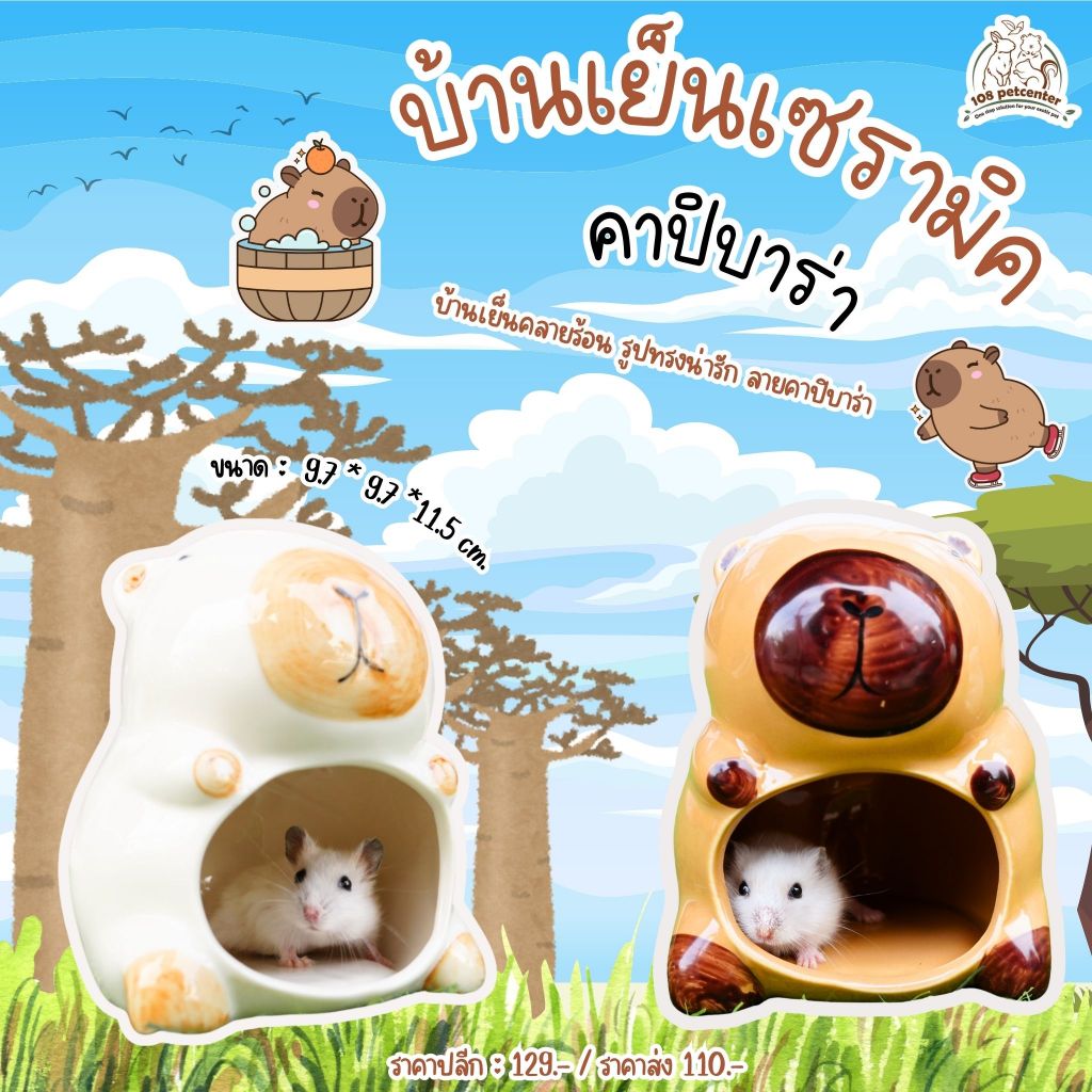 บ้านเย็นคาปิบาร่า เซรามิค บ้านหนูแฮมสเตอร์ ดอร์เมาส์ บ้านสัตว์เลี้ยงขนาดเล็ก