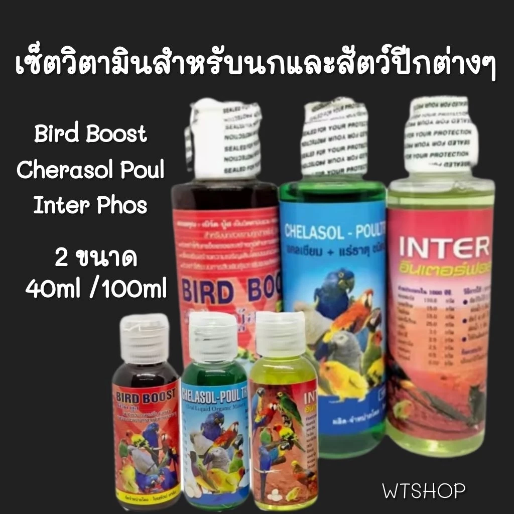 เซ็ตวิตามินบำรุงนกสวยงามทุกชนิด และสัตว์ปีกทุกสายพันธุ์ Bird Boost/Inter phos/Chelasol-Poultry