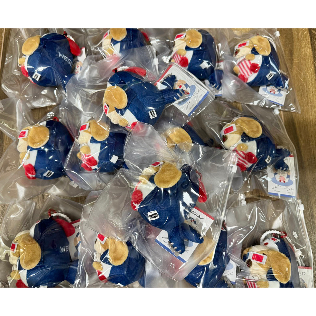 พร้อมส่ง ตุ๊กตา พวงกุญแจ WESLEY MOVIE NIGHT GMMTV เวสลีย์