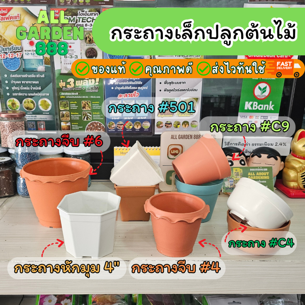 กระถางต้นไม้เล็ก กระถางพลาสติก สไตล์มินิมอล/โมเดิร์น กระถางกระบองเพชร กระถางแคคตัส กระถางเพาะปลูก ราคา ถูกที่สุด ดีลบีเคเค