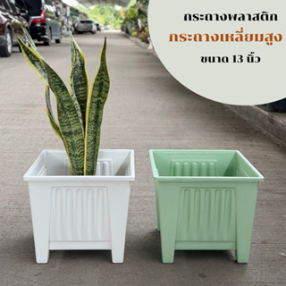 ‼️ถูก  ส่งเร็วทันใจ‼️  กระถางพลาสติกสี่เหลี่ยมทรงสูง  ขนาด 1…