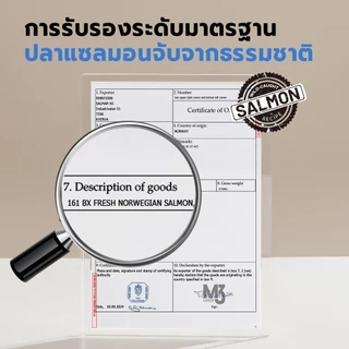 Bite Of Wild แซลมอน อาหารแมว 500g. Grain free โปรตีนสัตว์ 90% น้ำมันแซลมอน บำรุงขนและผิวหนัง