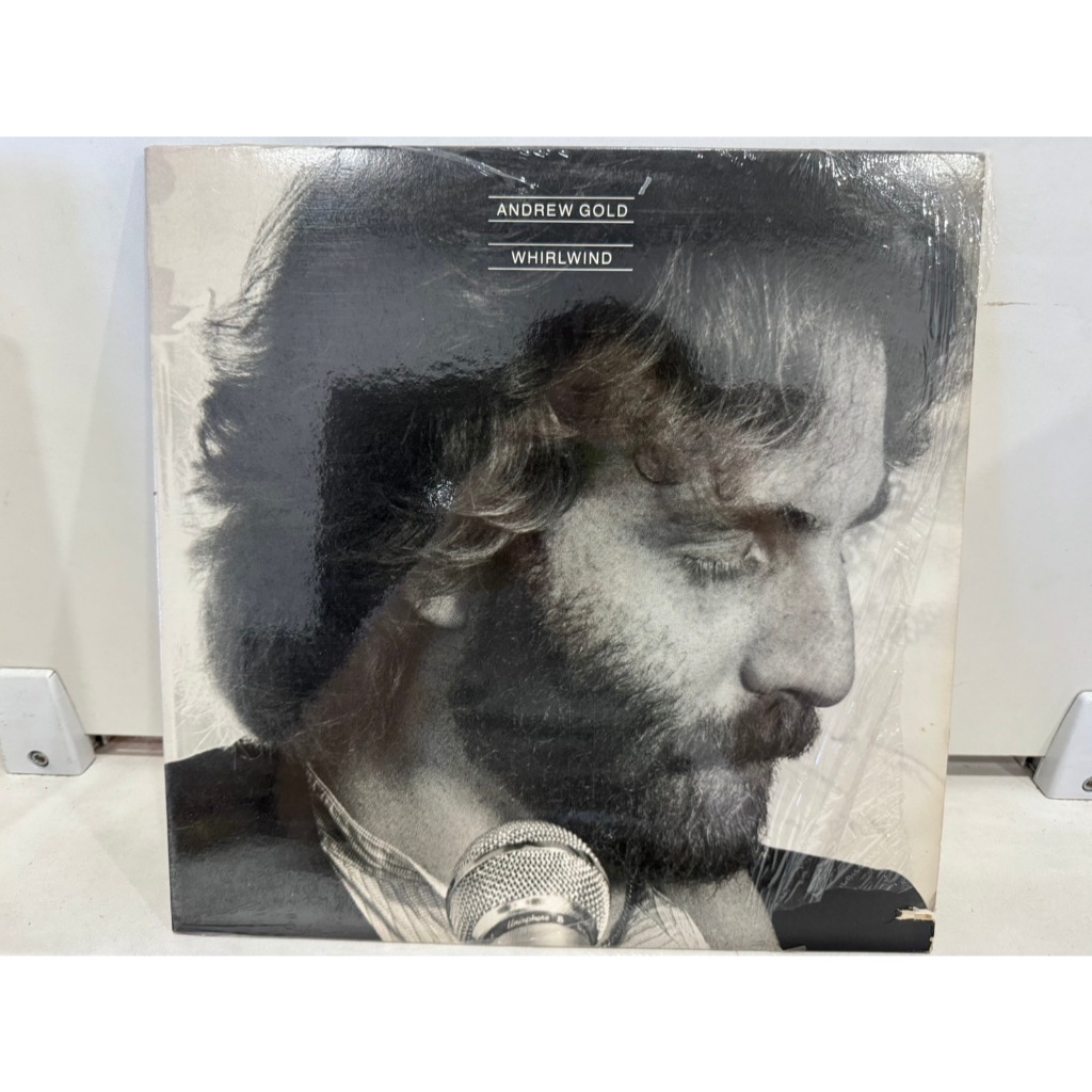 1LP Vinyl Records แผ่นเสียงไวนิล  ANDREW GOLD WHIRLWIND   (J6C219)