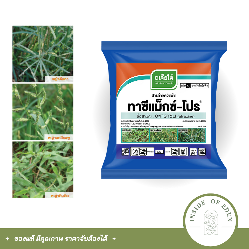 ทาซีแม็ก โปร (อะทราซีน) ยากำจัดวัชพืชในไร่ข้าวโพด ไร่อ้อย เจียไต๋ 900กรัม