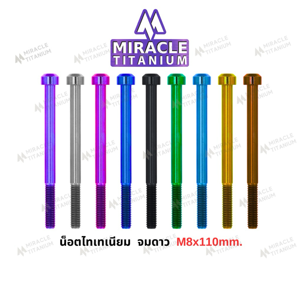 Cylindrical Head หัวจมดาว M8 x 110 mm