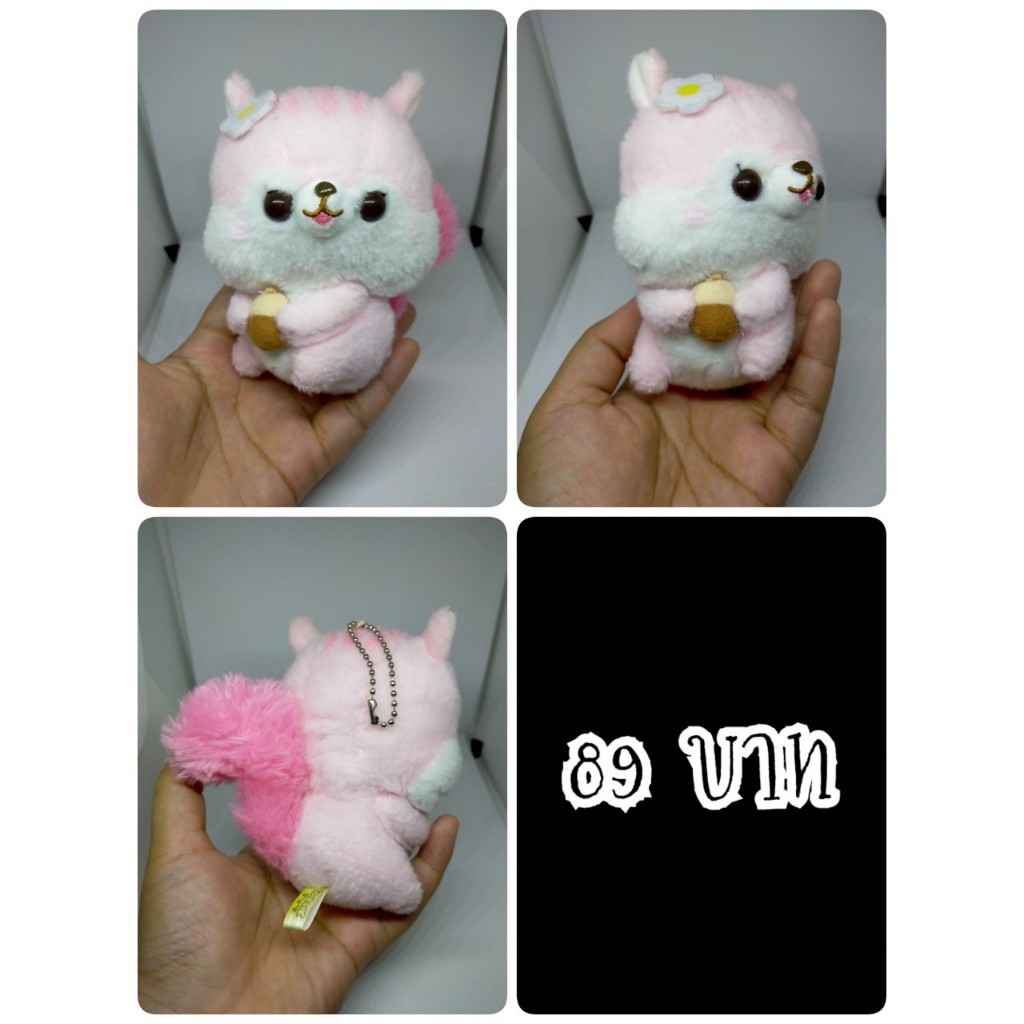 Cheek#Fusappo Nuts Favorite Food Squirrel#กระรอก#Amuse#อมูส#งานพวงญี่ปุ่นมือสอง