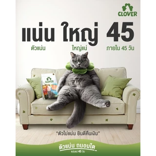 Clover อาหารแมว โคลเวอร์ ultra holistic & grain-free ตัวแน่นถนอมไต บำรุงขน ขนาด 4.2 และ 5 กิโลกรัม